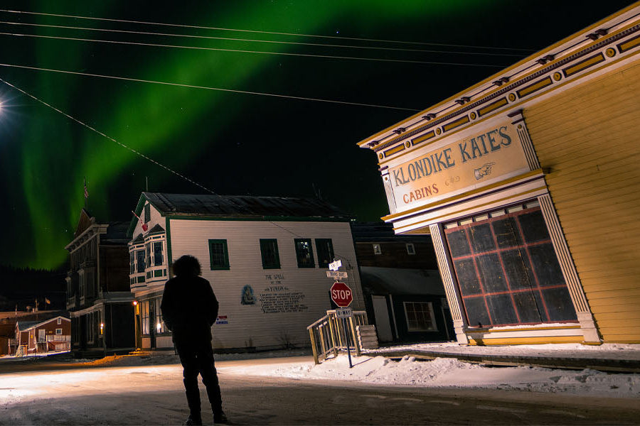 【Arctic Expedition】September 3rd - September 9th | Aurora | Arctic Circle | Wildlife | Indigenous Culture | Gentle Adventure