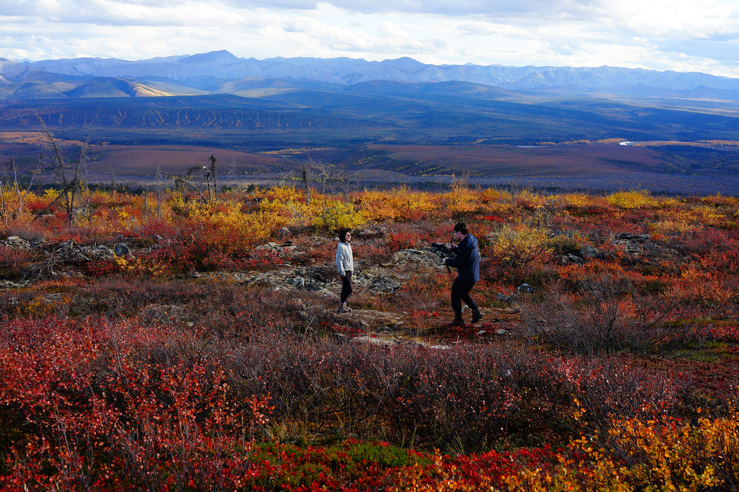 【Arctic Expedition】September 3rd - September 9th | Aurora | Arctic Circle | Wildlife | Indigenous Culture | Gentle Adventure