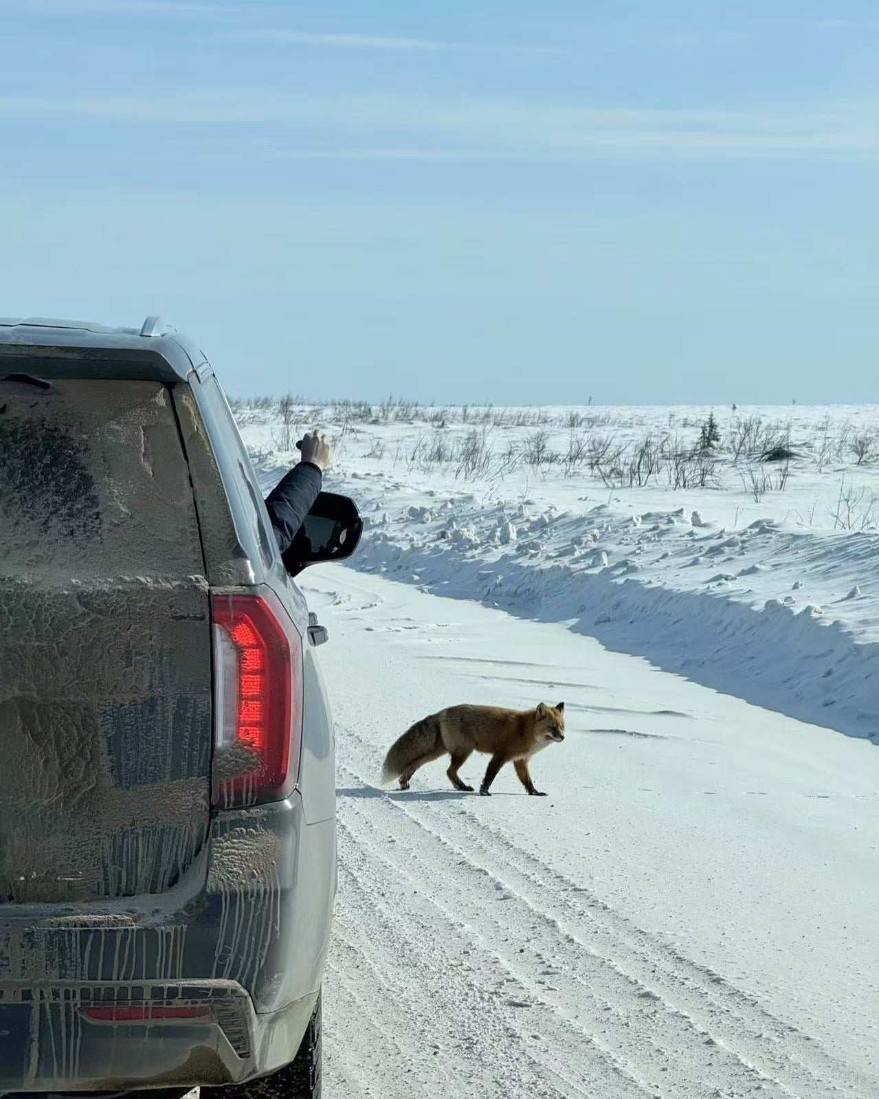 【北极之旅】9月13日-9月19日 | 极光 | 北冰洋 | 野生动物 | 原住民文化 | 轻冒险